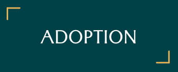 adoption