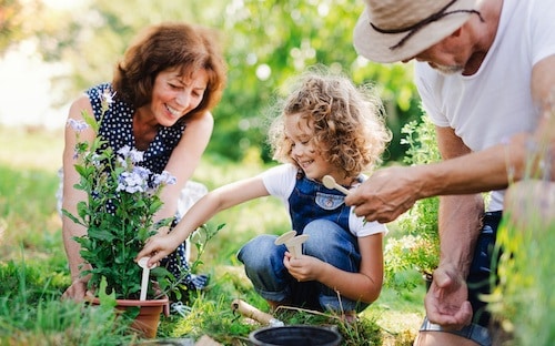 Grandparents playing outside with their granddaughter after learning more about the reasons grandparents can file for custody of a grandchild in Texas